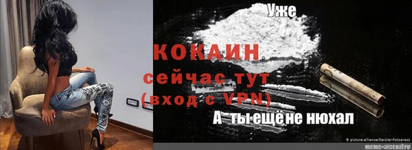 mdpv Новозыбков