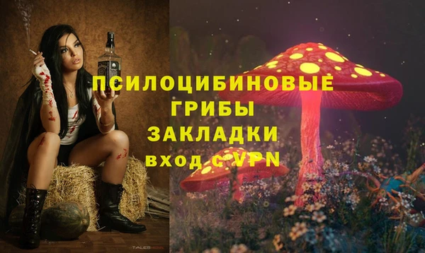 a pvp Новокубанск