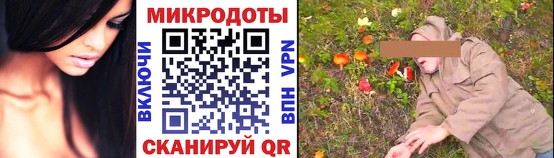 дарнет шоп  Сафоново  Галлюциногенные грибы GOLDEN TEACHER 